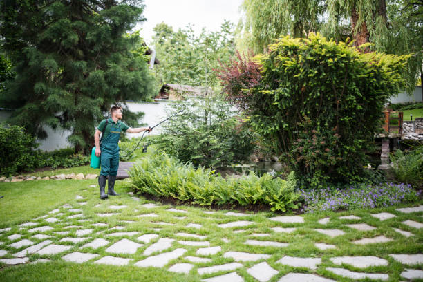 Professional Pest Control in Vale, OR