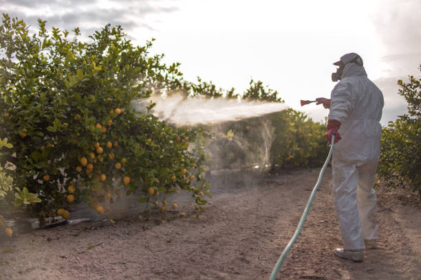 Best Local Pest Control Services  in Vale, OR
