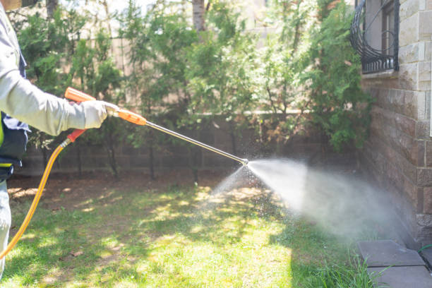 Best Pest Control Near Me  in Vale, OR