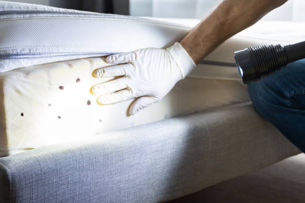 Best Best Pest Control Companies  in Vale, OR