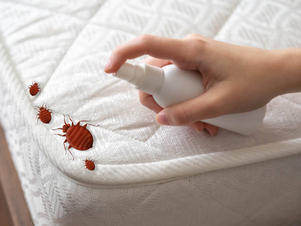 Best Pest Inspection Near Me  in Vale, OR
